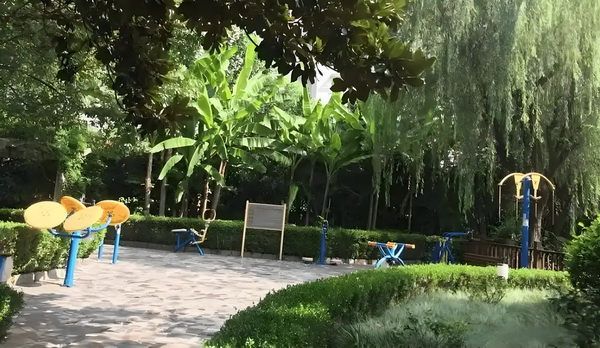 深圳积分入户2025条件_姜文硬着头皮上，爹味尚可接受 一辆野猪快车撞上城际